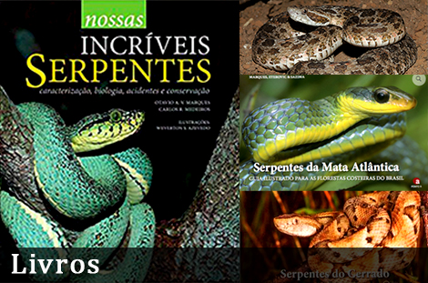 Nossas Incríveis Serpentes