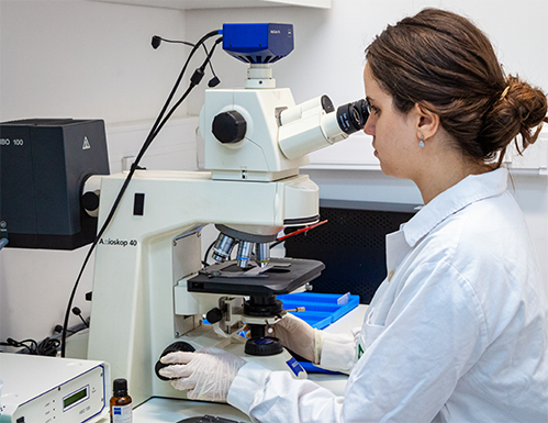 Foto de aluna no microscópio durante sua pesquisa na área molecular.