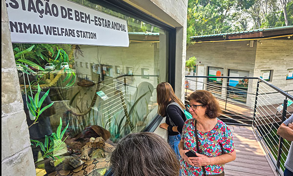 Visitação. Recinto de Bem-estar animal onde é possível visualizar jiboias