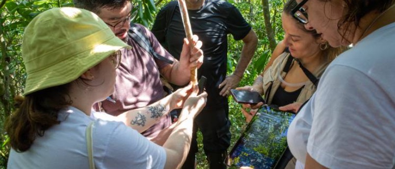 Imagem da Notícia: Arca das Serpentes