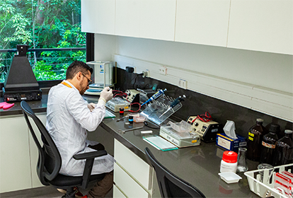 Foto de aluno na bancada, pipetando durante sua pesquisa na área molecular.